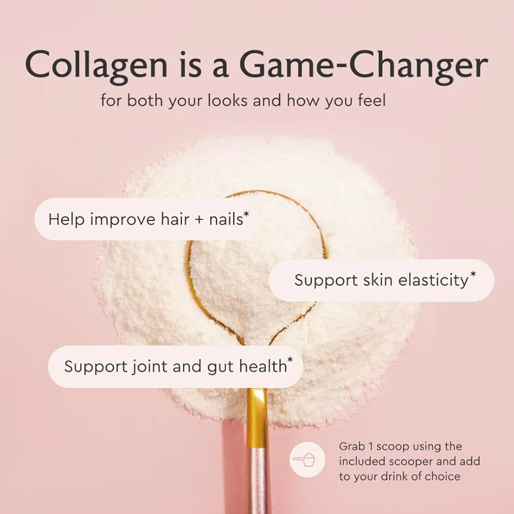 Alaya Multi Collagen Powder - Type I, II, III, V, X Hydrolyzed Collagen Peptides Protein Powder Supplement with MSM + GC  - NSF Certified - 