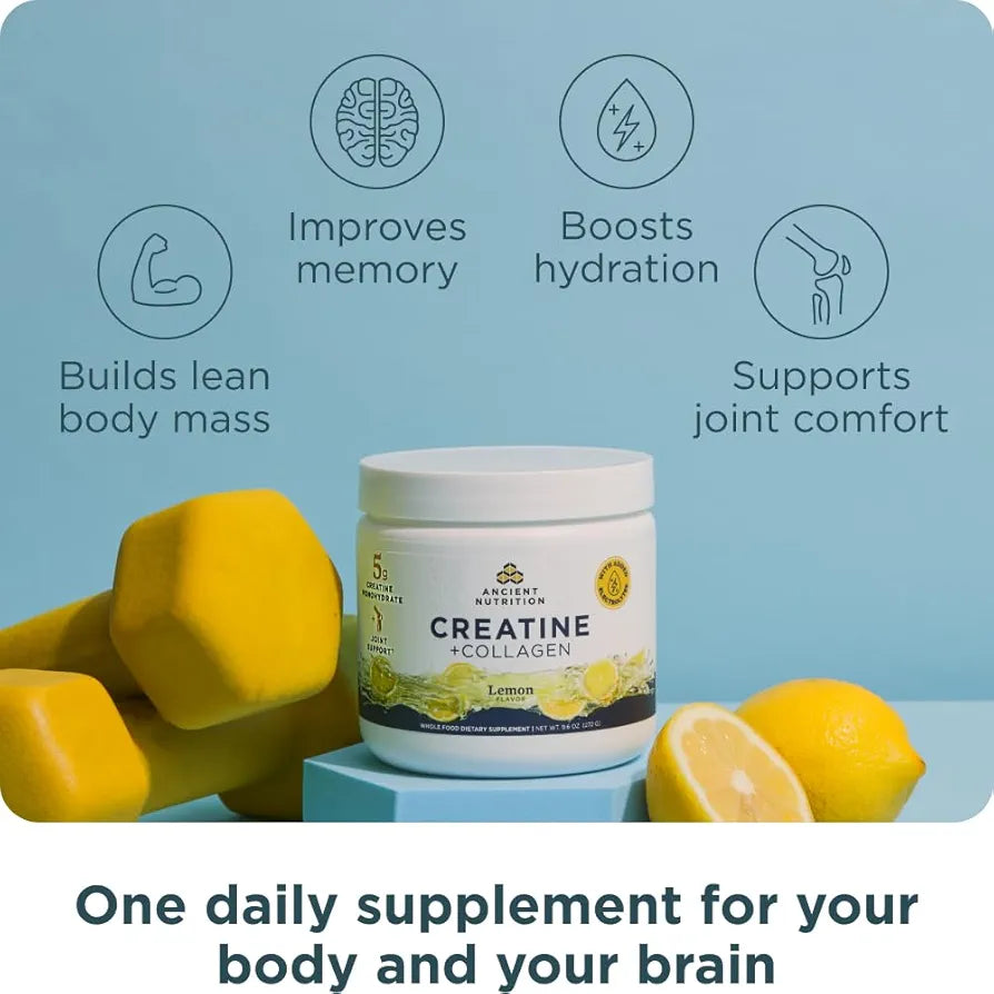 Ancient Nutrition Creatine + Collagen + Electrolytes – Muscle Strength, Lean Body Mass, Joint Comfort & Cognitive Support – Includes 5g Creatine Monohydrate for Women, Lemon 