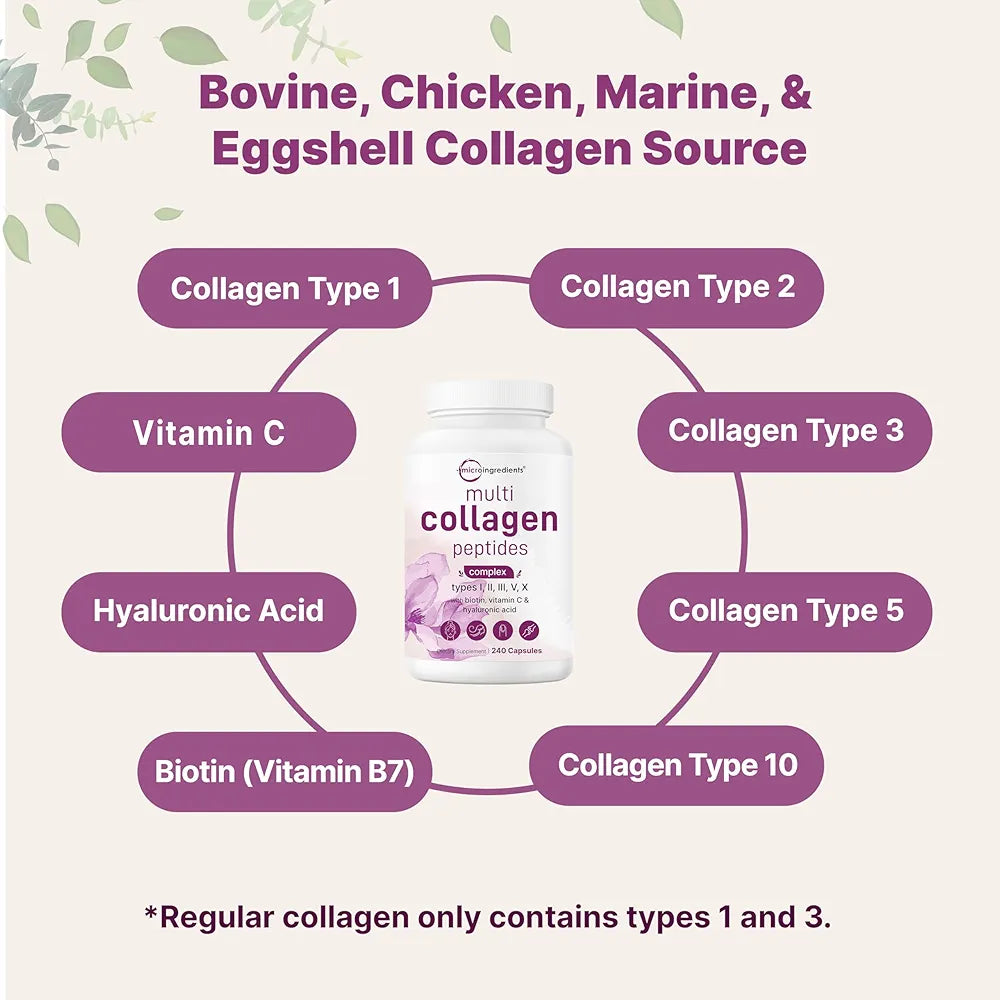 Micro Ingredients Multi Collagen Pills for Women & Men, 240 Capsules | Type I, II, III, V, X | Hydrolyzed Protein Peptides with Biotin, Hyaluronic Acid, & Vitamin C Complex | Keto & Paleo Friendly