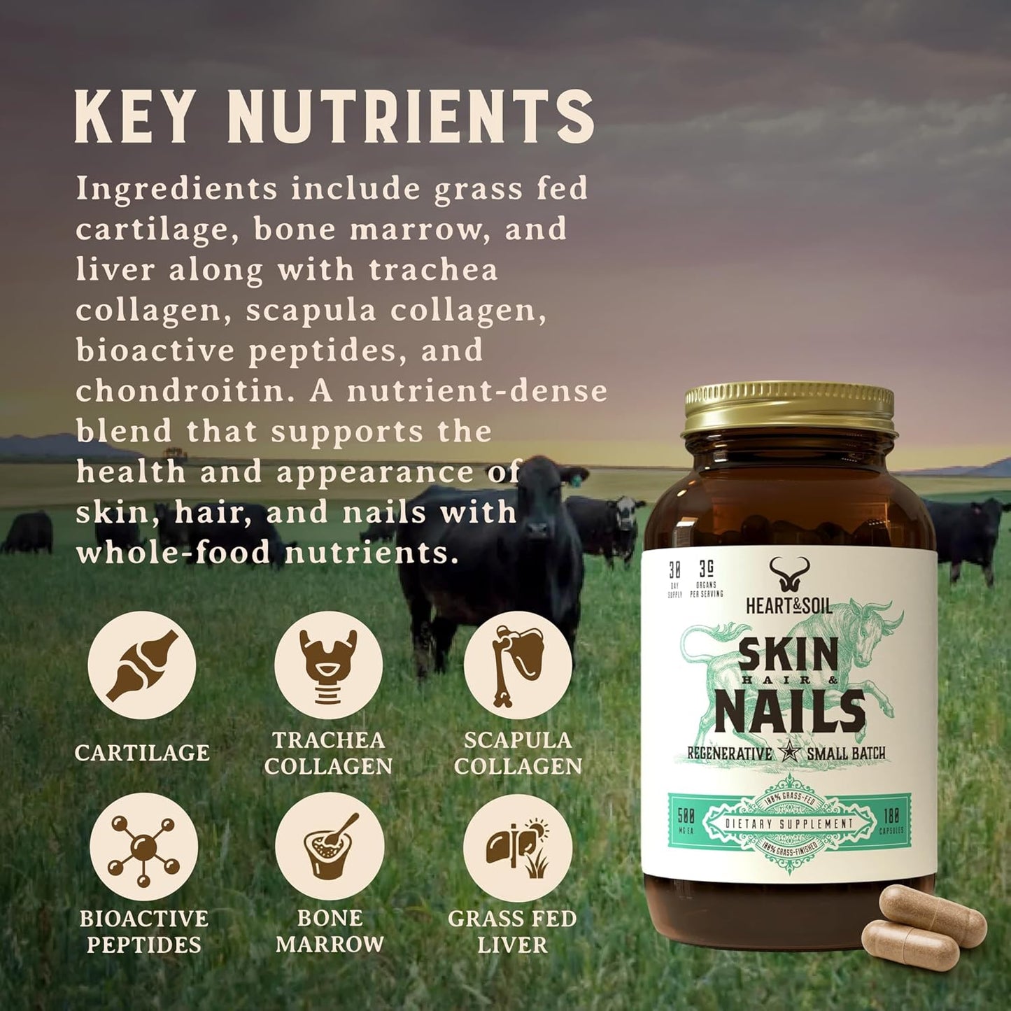 HEART & SOIL Joint Support Supplement, 180 Capsules | 100% grass fed & finished from regenerative cattle with trachea, scapula & bone marrow. Supports joint strength & mobility.