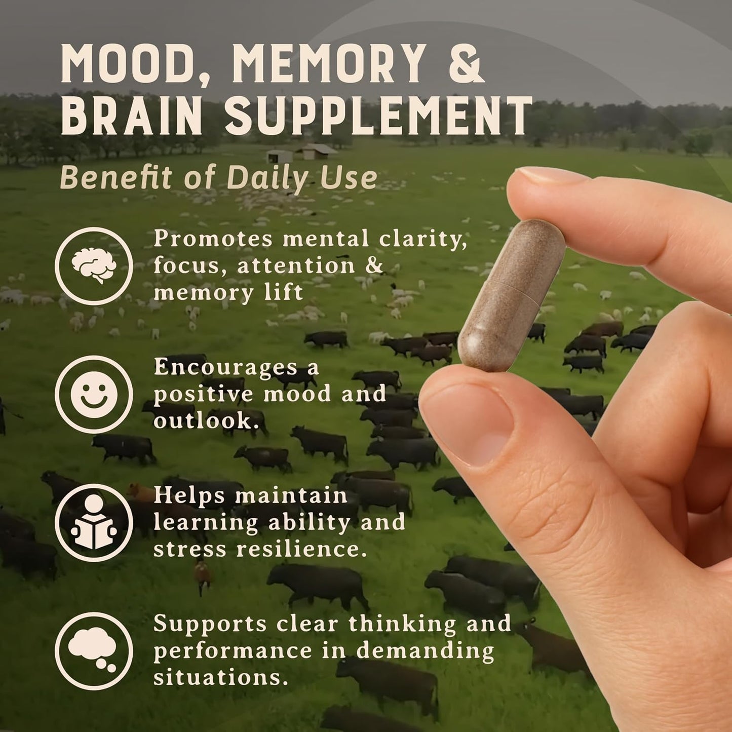 HEART & SOIL Joint Support Supplement, 180 Capsules | 100% grass fed & finished from regenerative cattle with trachea, scapula & bone marrow. Supports joint strength & mobility.