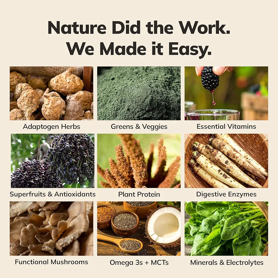 Ka’Chava Whole Body Meal Shake Chocolate 2 lb – Vegan Protein Powder with 85+ Superfoods & Greens – Plant-Based Meal Replacement with Probiotics & Digestive Enzymes – Gluten & Dairy Free 