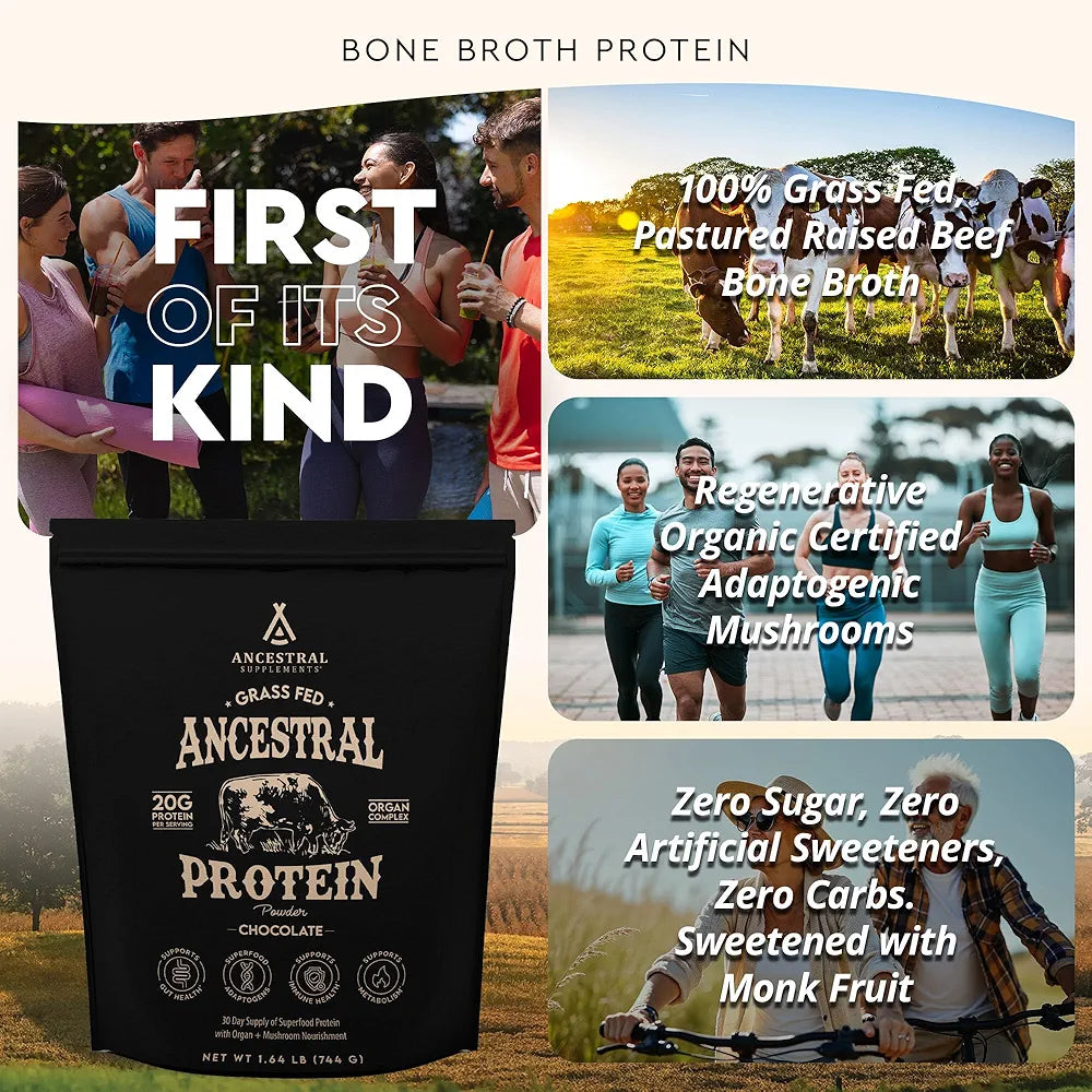 Ancestral Supplements Grass Fed Protein Powder, Chocolate, Beef Bone Broth Based w/Beef Organs & Organic Mushrooms, Gut Health Support, High Protein Supplement, 20g Protein Per Serving, 30 Day Supply