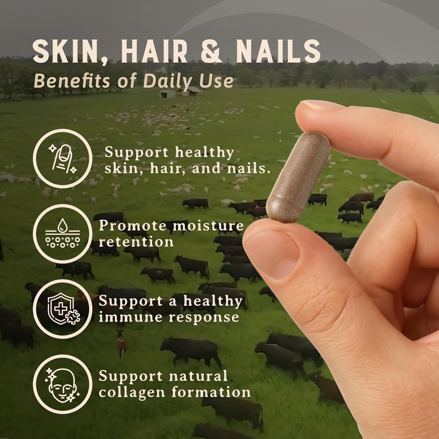 HEART & SOIL Joint Support Supplement, 180 Capsules | 100% grass fed & finished from regenerative cattle with trachea, scapula & bone marrow. Supports joint strength & mobility.